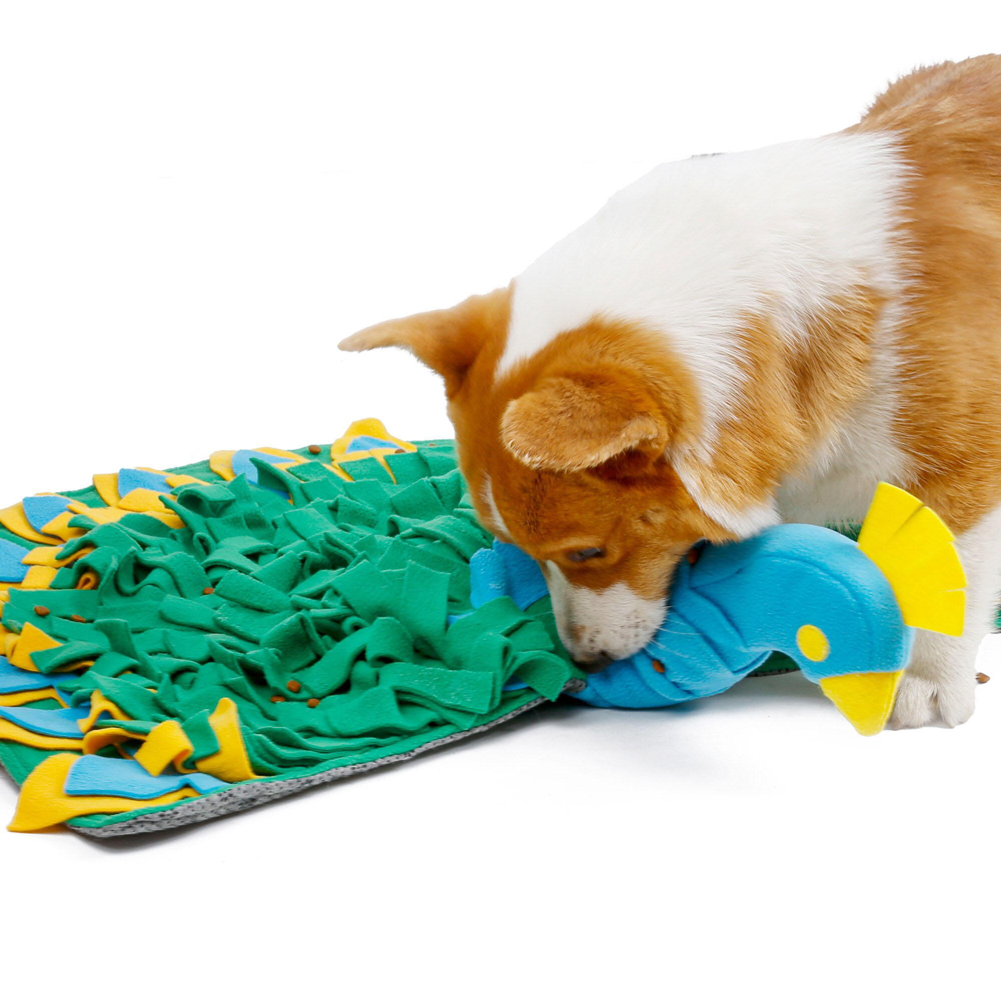 Injoya Peacock Snuffle Mat